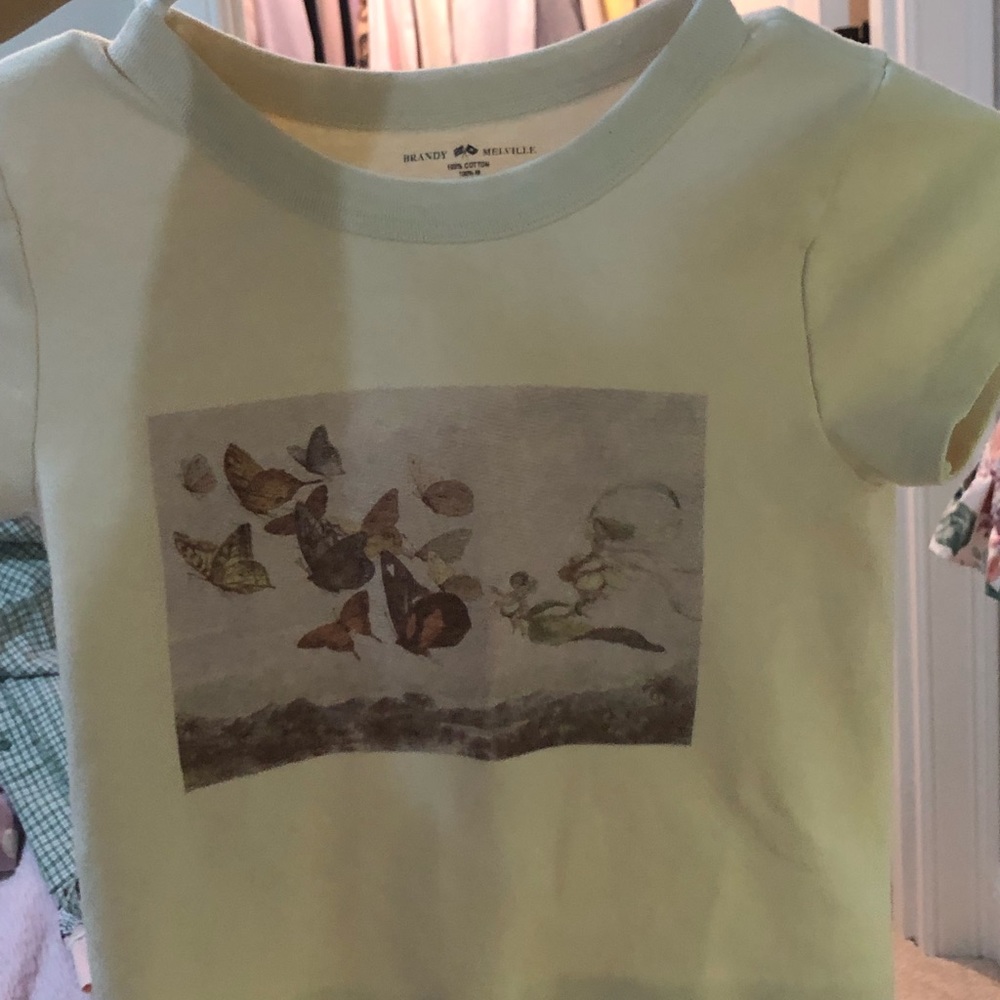 brandy melville vintage look butterfly baby tee